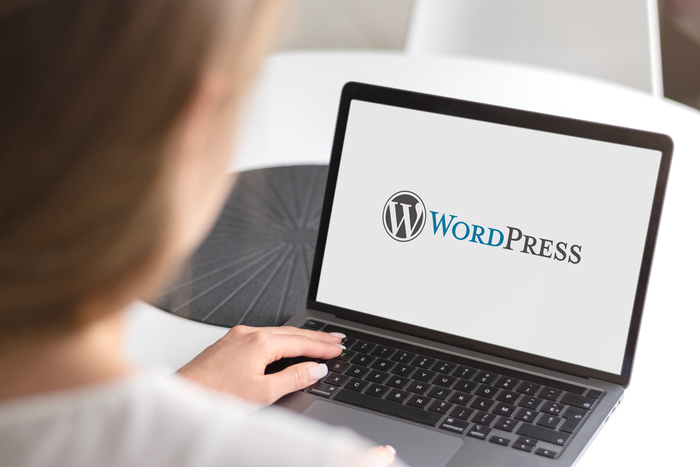 WordPress website hosting